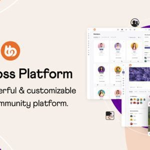 BuddyBoss Theme Plugin Version:2.8.51