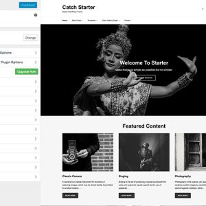 Starter Pro Plugin Version:1.0.2