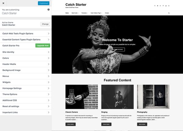 Starter Pro Plugin Version:1.0.2