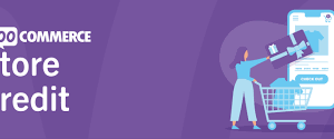 WooCommerce Store Credit Plugin Version4.5.7