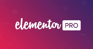 Elementor Pro Plugin Version: 3.29.0
