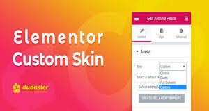 Elementor Custom Skin Pro – Version 3.2.5
