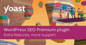 Yoast SEO Pro – Version 25.0