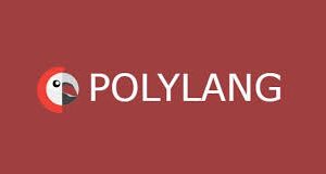 Polylang Pro – Multilingual Plugin for WordPress Version 3.4.6