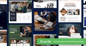 Avante Business Consulting Theme Plugin Version:3.0