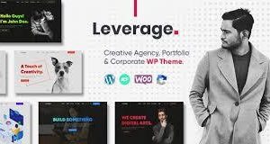 Leverage Agency And Portfolio Theme Plugin Version:2.2.9