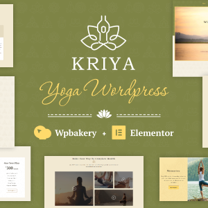 Kriya – Yoga WordPress Theme Plugin Version:4.0