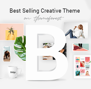 Bridge Creative Multipurpose Theme Plugin Version:30.8.7.1