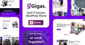 Gigas – SaaS WordPress Theme Plugin Version:1.0
